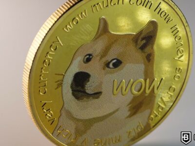 DOGE Surge to Weekly Peak Coincides with “XPayments” Boom
