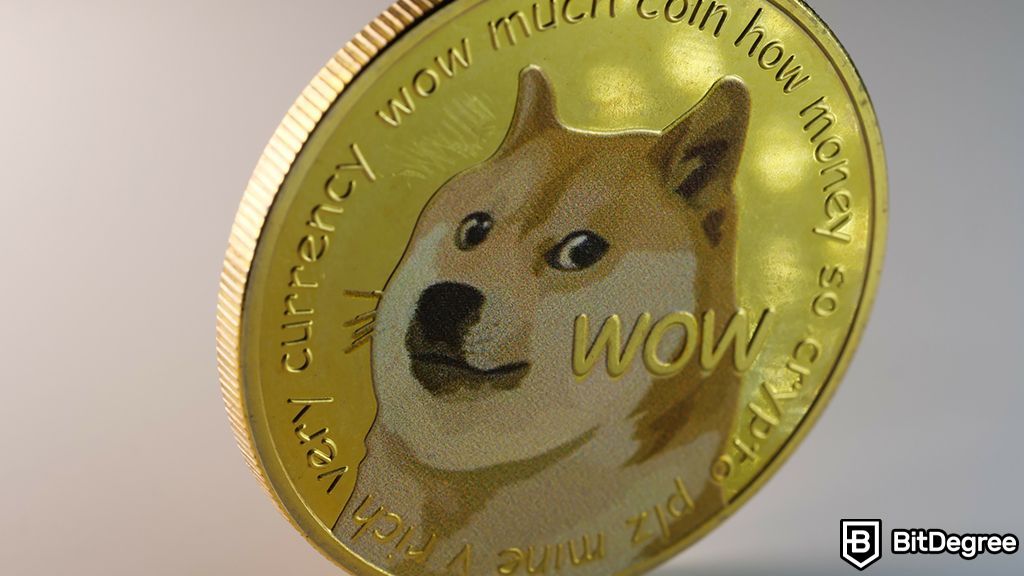 You are currently viewing DOGE Surge to Weekly Peak Coincides with “XPayments” Boom